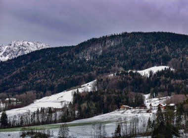 Münih Alpler ve Neuschwanstein