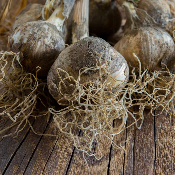 Fresh Raw White Garlic Bunch Wooden Background — Stock Photo, Image