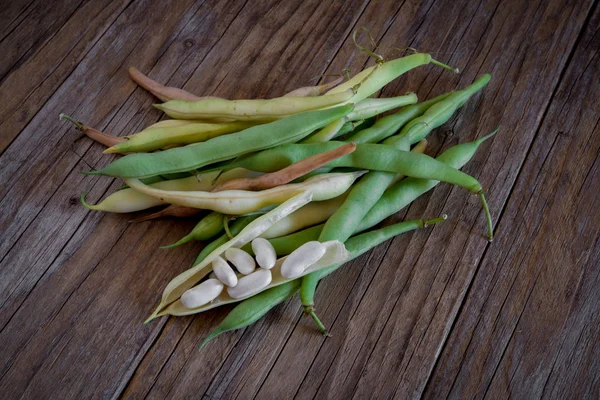 Haricots Blancs Frais Appelés Cannellini Vient Cueillir Sur Une Table — Photo