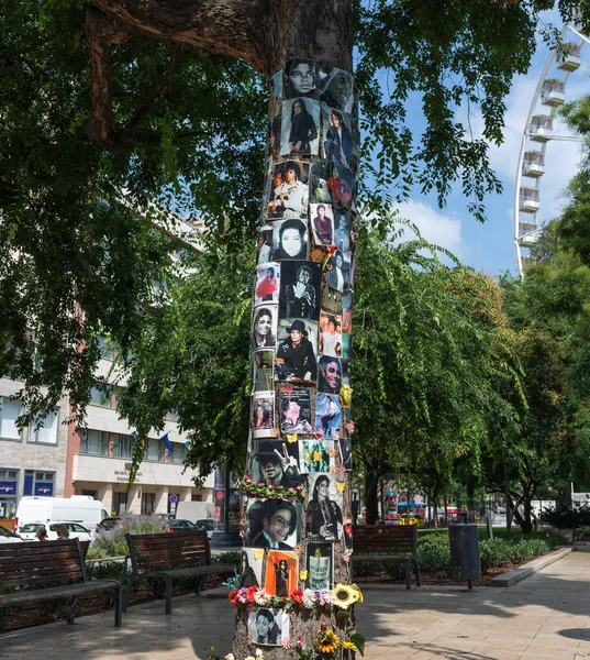 Budapest Hungría Agosto 2018 Frente Este Árbol Encuentra Hotel Donde — Foto de Stock