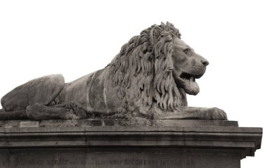 Budapeşte, Macaristan - 3 Ağustos, 2018: Zincir köprü üzerinde aslan heykeli