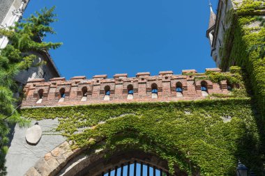 Budapeşte, Macaristan - 7 Ağustos, 2018: Vajdahunyad Castle ve Macar tarım Müzesi giriş görünümünü