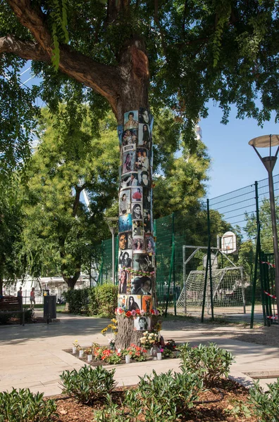 Budapest Ungheria Agosto 2018 Davanti Questo Albero Trova Hotel Dove — Foto Stock