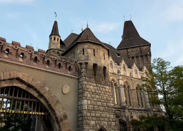 Budapešť Maďarsko Srpna 2018 Architektura Detail Maďarské Zemědělské Muzeum Hrad — Stock fotografie