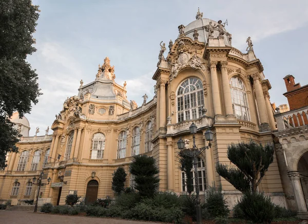 ブダペスト ハンガリー 2018 ブダペストの議会の内部ブダペストの王宮は シンボル ハンガリーの国家総会の座席は — ストック写真