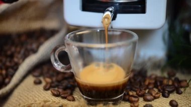 Elektrikli kahve makinesi cam fincan espresso kahve hazırlar