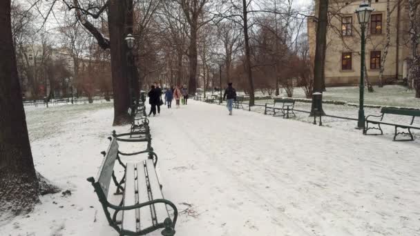 波兰克拉科夫 2019年1月3日 有雪和未定义的人的市中心景观 — 图库视频影像