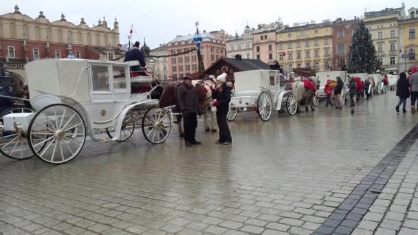 波兰克拉科夫 2019年1月3日 冬季圣诞时间马出租车在市中心的 Rynek Gl栋尼市场广场的景色 — 图库视频影像