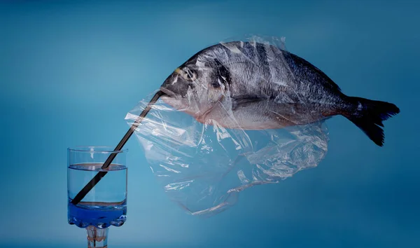 塑料薄膜中的鱼海带 — 图库照片