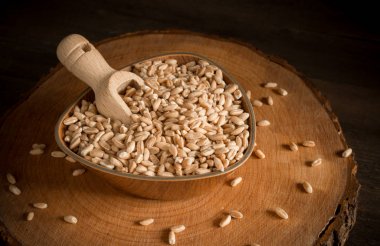 ahşap gövde üzerinde büyülenmiş fincan