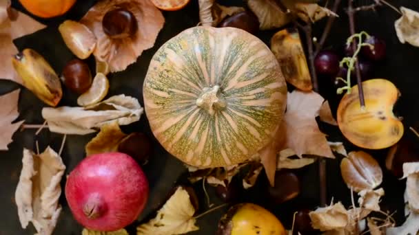 有干叶子和各种水果的自生背景 — 图库视频影像
