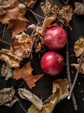 Sonbahar Arkaplanı Renkli