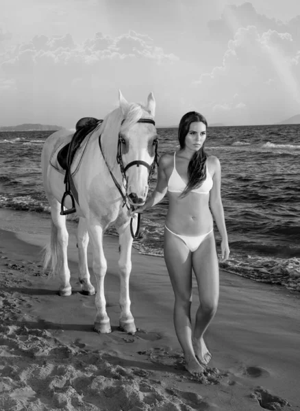 Menina bonita nova com cavalo branco na praia ao pôr do sol Fotografia De Stock