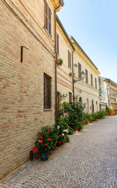 Alley Típico Acquaviva Picena Vila Medieval Ascoli Piceno Itália — Fotografia de Stock