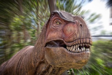 Agresif Tyrannosaurus Rex yaşam boyutu model Sydney, Nsw, Avustralya üzerinde 19 Aralık 2014 yılında alınan