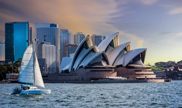 Katamaransegling Framför Operahuset Sydney Vid Solnedgången Sydney Australien Den September — Stockfoto