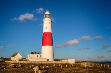 Portland Bill Portland, Dorset, İngiltere 19 Ocak 2014'de çekilen deniz feneri