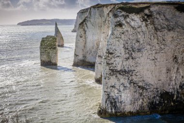 Eski Harry kayalar, Swanage, Dorset, İngiltere'de 21 Şubat 2014 tarihinde yakınındaki kıyı tebeşir kayalıklarla