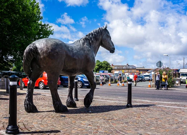 Shire Estatua Caballo Entrada Centro Ciudad Regeneración Eldridge Pope Brewery — Foto de Stock