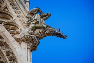Reims Reims, Burgundy, Fransa'da 29 Haziran 2018 alınan katedral önünde alışılmadık çirkin yaratık, yakın çekim
