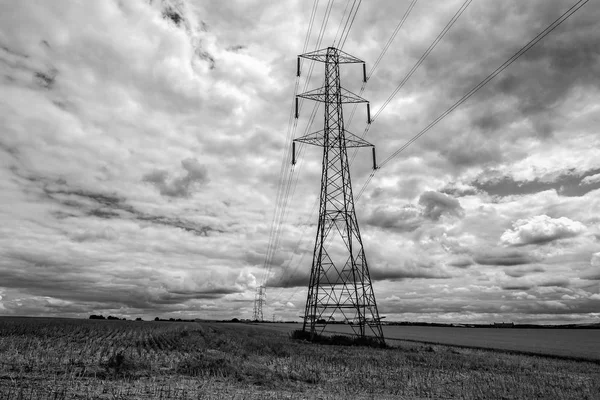 Black White Photograph Large Electricity Pylon Pylons Distance Field Corn — Stock Photo, Image