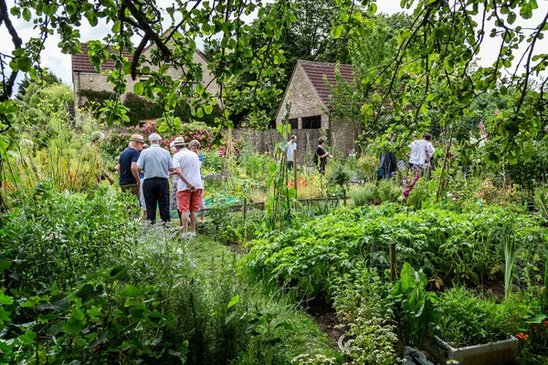 Loteamento Vegetais Aldeia Inglesa Frome Somerset Reino Unido Julho 2014 — Fotografia de Stock