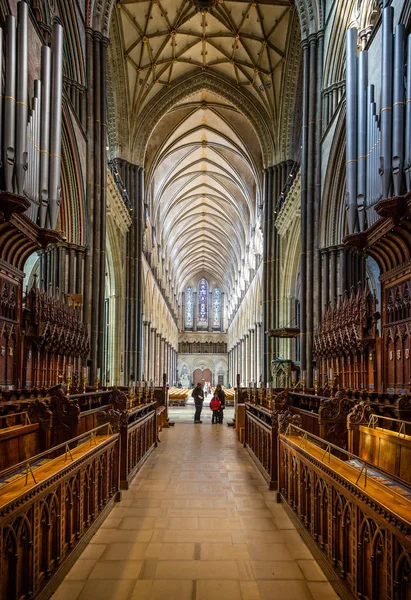 Katedra Salisbury Hali Głównej Stalle Chóru Salisbury Wiltshire Wielka Brytania — Zdjęcie stockowe