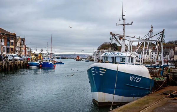 Trawlers Meeuwen Afgemeerd Haven Van Weymouth Weymouth Dorset Engeland December — Stockfoto