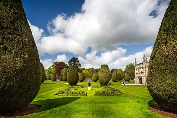 Magnífico Jardín Topiario Formal Frente Lanhydrock Country House Cornwall Inglaterra — Foto de Stock