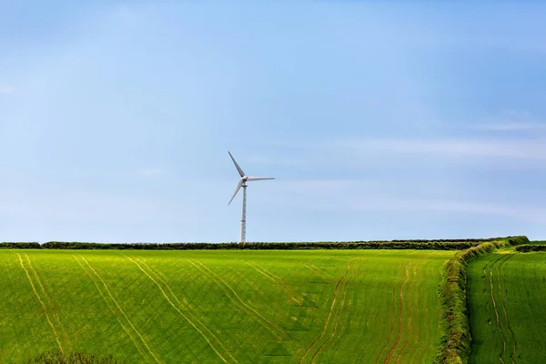 Turbina Eólica Aislada Horizonte Con Campo Agrícola Verde Primer Plano — Foto de Stock