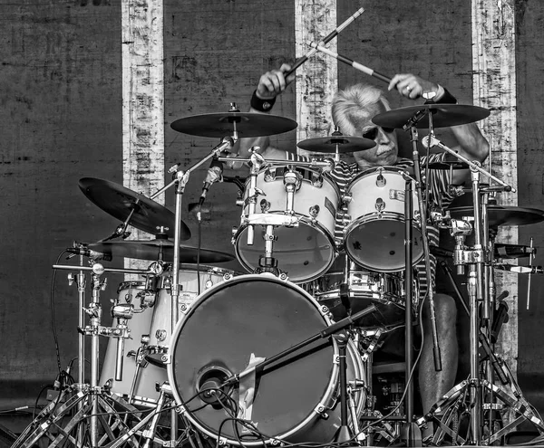 Olgun gümüş saçlı davulcu - siyah & beyaz - 11 Temmuz 2015 tarihinde İngiltere 'nin Wiltshire kentindeki Chippenham Park' ta çekildi.