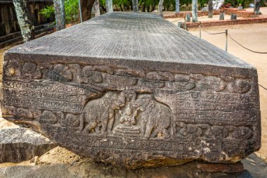 18 Eylül 2016 'da Polonnaruwa, Sör Lanka' da filler ve Sanskritçe yazılarla oyulmuş büyük antik bir taş.