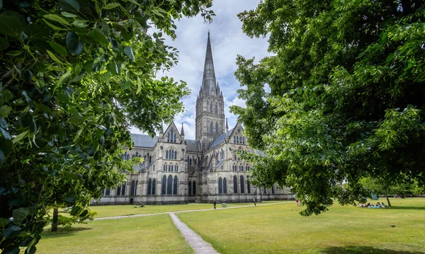 Salisbury Katedrali Haziran 2020 Ngiltere Nin Wiltshire Kentindeki Ağaçlar Tarafından — Stok fotoğraf