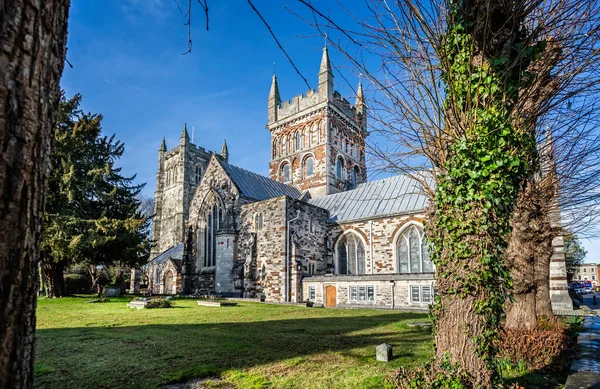 Wimborne Minster Wimborne Kilisesi Dorset Ngiltere Ocak 2020 — Stok fotoğraf