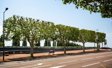 3 Temmuz 2019 'da Fransa' da Chalon Sur Saone, Burrgundy 'de bulunan dikdörtgen şekilli ağaç sıraları, dalları