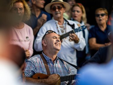 23 Kasım 2019 'da İspanya, Tenerife, Garachico' daki bir barın önünde ukelele çalan müzisyene yakın çekim