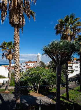 23 Kasım 2019 'da İspanya' nın Garachico kentindeki Santa Anna Kilisesi 'ne bakın.