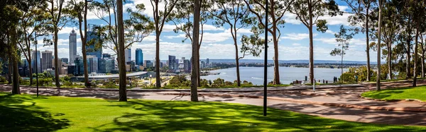 Panorama of lemon scented gum trees and Perth Central Business District from Kings Park, Perth, Australia on 25 October 2019