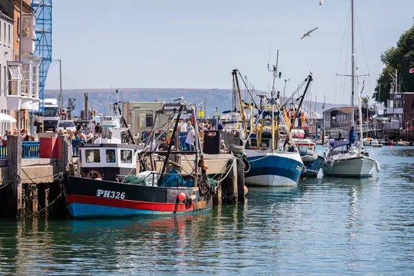 Verzameling Van Kleurrijke Vissersboten Die Juli 2020 Haven Van Weymouth — Stockfoto