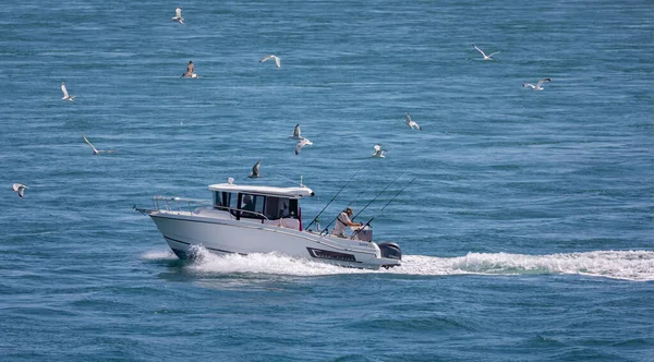 Barca Charter Pesca Altura Mare Con Canne Pesca Gabbiani Seguito — Foto Stock