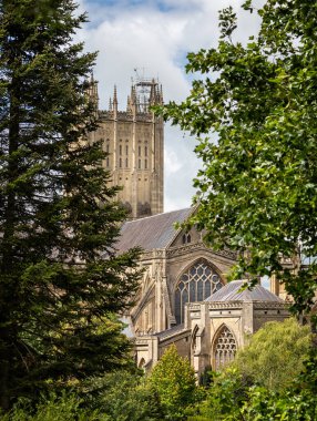 Wells Katedrali 28 Temmuz 2020 'de Wells, Somerset, İngiltere' de ağaçlar tarafından çerçevelendi.