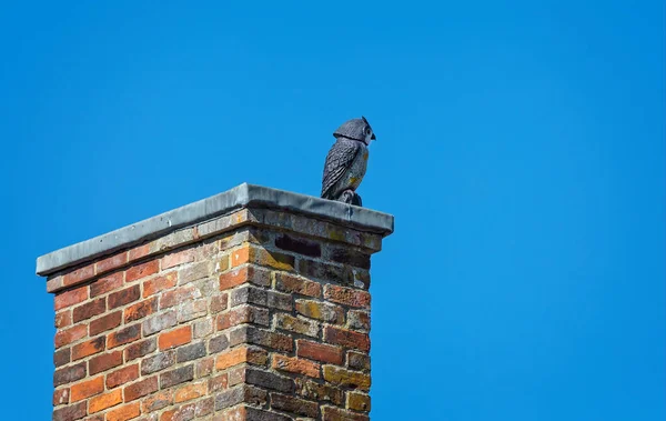 Quirky Uil Standbeeld Een Schoorsteen Sherborne Dorset Verenigd Koninkrijk Augustus — Stockfoto