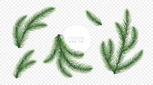 Реалистичные зеленые ветви елки изолированы на прозрачном фоне, могут быть использованы для украшения поздравительных открыток, флаеров и рождественских плакатов — стоковый вектор