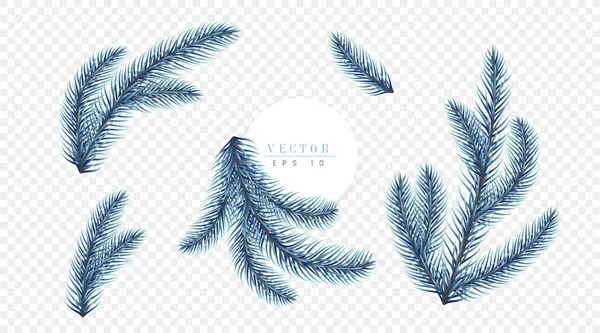 Реалистично синие ветки елки изолированы на прозрачном фоне, могут быть использованы для украшения рекламных баннеров, флаеров и рождественских открыток — стоковый вектор