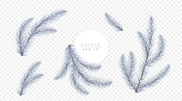 White Christmas tree branches isolated on transparent background, can be used for decoration of christmas brochures, invitations and booklets — Stock Vector