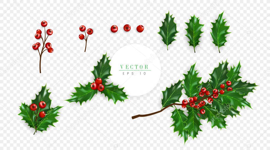 Holly berry set, symbol of Christmas isolated on transparent background, can be used for decoration of greeting cards, flyers, invitations and christmas posters.