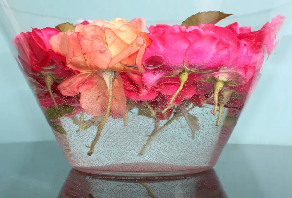 Vase Avec Des Roses Dans Eau — Photo