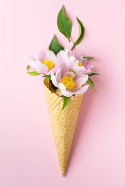 Bahar ya da yaz ruh kavramı. Düz-lay gözleme tatlı koni ile peonies üzerinde pastel açık pembe renkli, üstten görünüm.