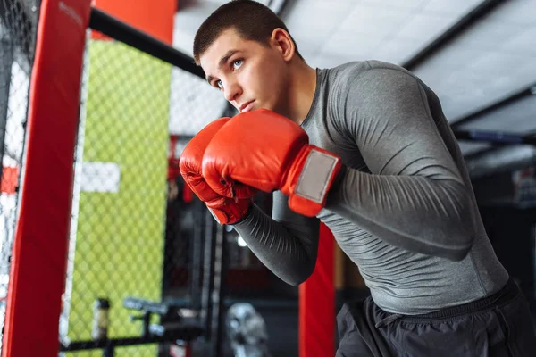 Male boxer engaged in training in the gym, in a cage for a fight without rules