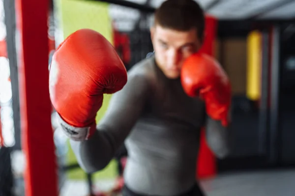 Male boxer engaged in training in the gym, in a cage for a fight without rules, Boxing coach
